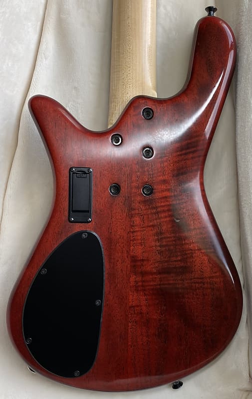 Colin Edwin: Spector NS 4H2 MM USA fretless.