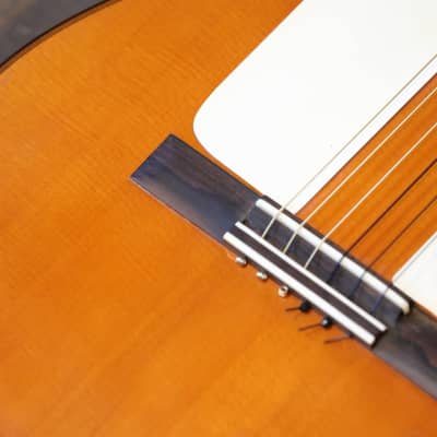 Montalvo Master Series Natural Classical Guitar + OHSC image 6