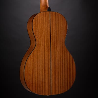 J & D AP-5 Parlor - Acoustic Guitar image 6