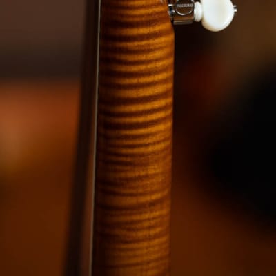 Deering Calico 5 String Curly Maple Resonator Banjo w/Spikes Installed #AX45 image 15