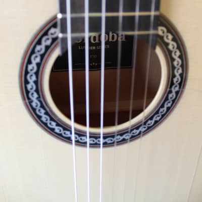Brand New Cordoba F10 Flamenco Blanca Guitar image 5