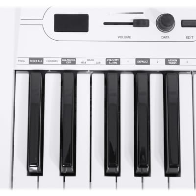 Samson Carbon 61 Key USB MIDI DJ Keyboard Controller+Dual Shelf Studio Stand image 17