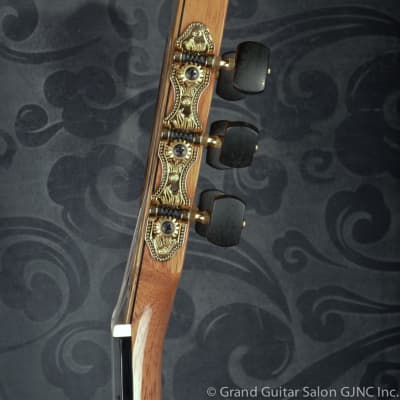 Raimundo Tatyana Ryzhkova Signature model, Spruce top classical guitar image 6