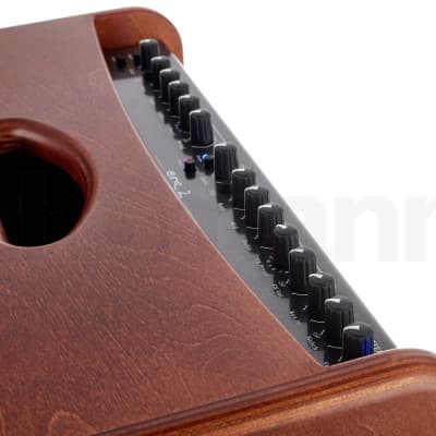 Hughes & Kettner ERA2 | 400-watt Acoustic Amplifier, Wood Finish. New! image 10