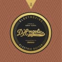D'Angelico Electrozinc Jazz Electric Guitar Strings, Light (12-52)