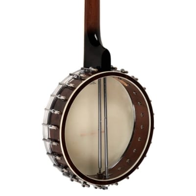 Gold Tone Model WL-250 White Ladye 5-String Open Back Banjo with Hardshell Case image 11