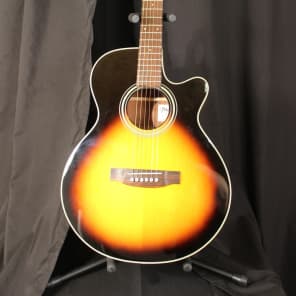Takamine store eg260c price