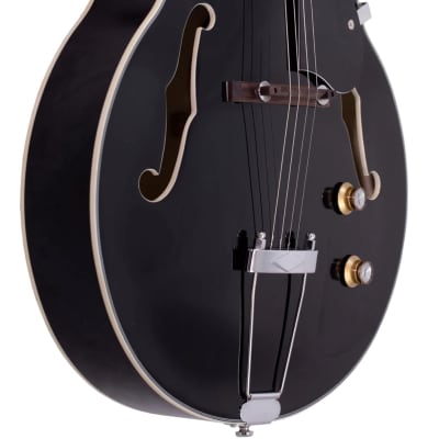 Eastwood TG-150 Basswood Maple Veneer Archtop Body Maple Set Neck 4-String Tenor Electric Guitar w/Hardshell Case image 4