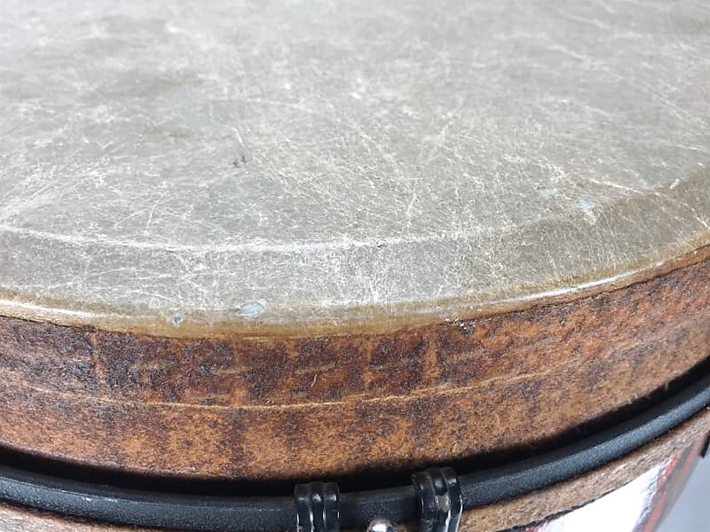 REMO Paulo Mattioli Signature ジャンベ ジャンベ レモ remo シグネチャー