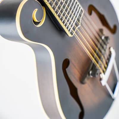 Gold Tone I-F12 Gold Tone F-Style 12-String Mando-Guitar w/ Foam Case image 20