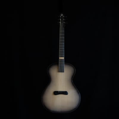 Skytop "Dark Side of the Moon" Acoustic Guitar image 1
