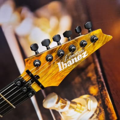 Ibanez JCRG2204 Autumn Leaves E-Guitar, j.custom + Hardcase | Reverb