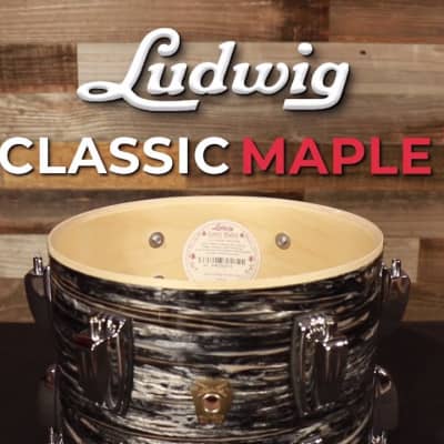 Ludwig Classic Maple Downbeat Drum Set White Marine Pearl image 4
