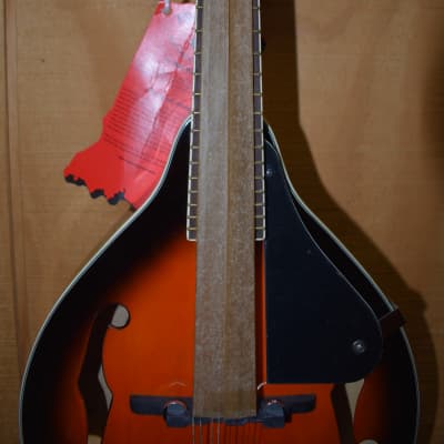 Indiana Mandolin 2000's - Sunburst image 5