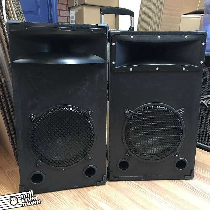Custom 12" 2-Way PA Speakers Pair w/ JBL Horns, Peavey 22A Drivers image 1