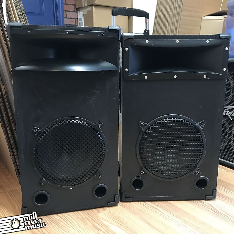 Custom 12 2-Way PA Speakers Pair w/ JBL Horns, Peavey 22A Drivers