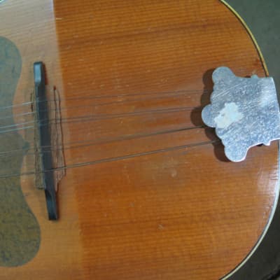 vintage antique 1910 Carl Fischer mandolin  LYON + HEALEY w/ orig case americana folk music instruments image 25