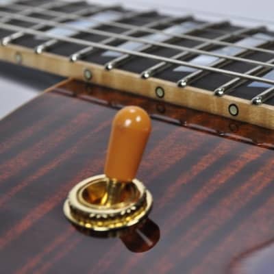 ESP Eclipse 40th Anniversary Guitar in Tiger Eye Finish image 9
