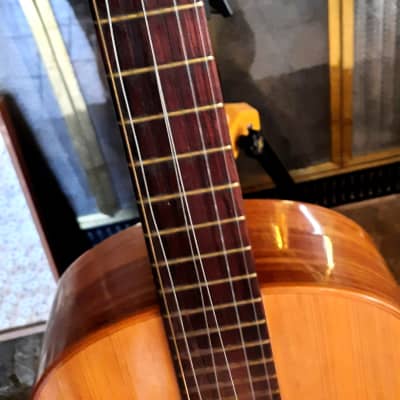 GIANNINI GN-60 CLASSICAL-FOLK 1960’s-NATURAL WOODS, NEEDS TLC AND EXPERT LUTHIER'S HANDS image 3