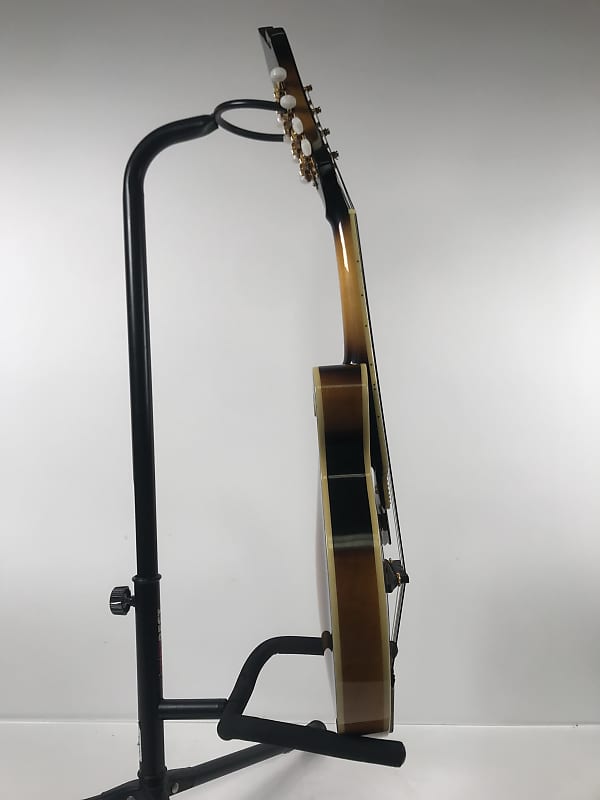 フラットマンドリンBeanBlossom By Morgan Monroe Mandolin 