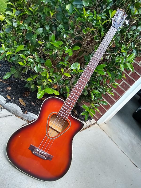 1991 Hohner TWP600B Acoustic Electric Bass - Plays and Sounds Great! image 1