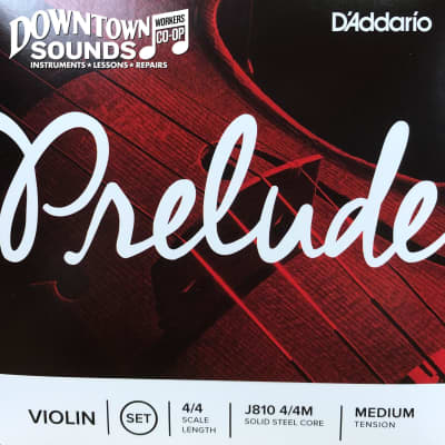 D'Addario J810-44M Prelude 4/4-Scale Violin Strings - Medium | Reverb