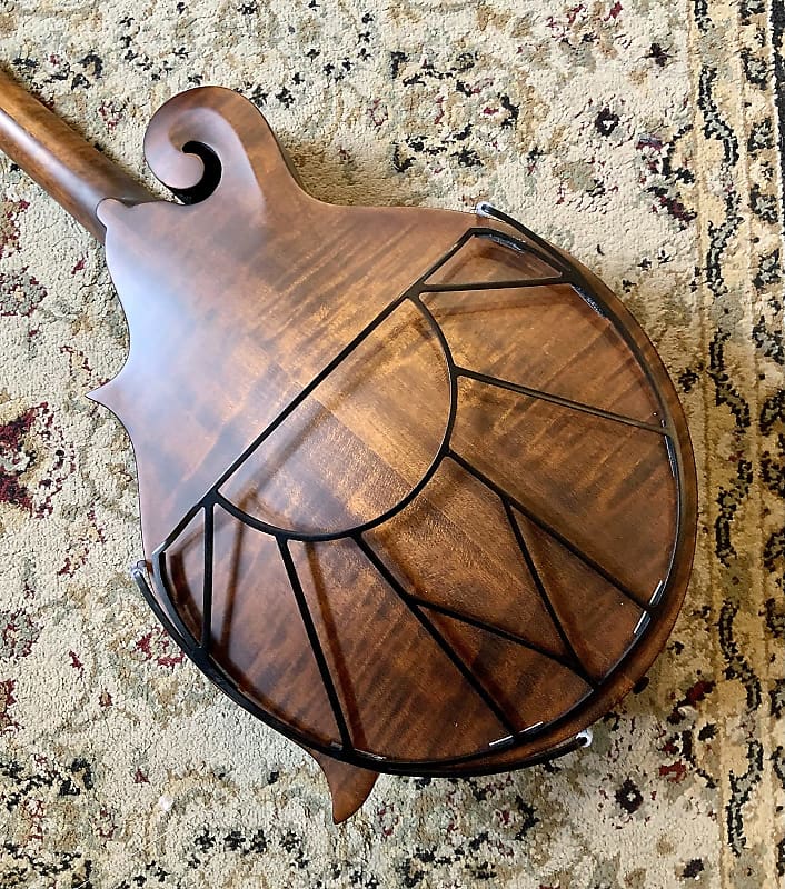 Tone-Gard for Mandola DolaGard-V image 1