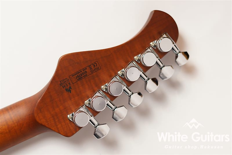 バッカス TACTICS24 STD/RSM FR ステンレスフレット 【公式通販】