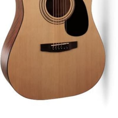 Cort Standard Series Left-Handed Spruce Top Acoustic Guitar  Open Pore Natural for sale