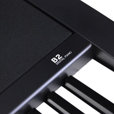 Korg B2 Digital Piano - Black - ( SNR-1541 ) image 5