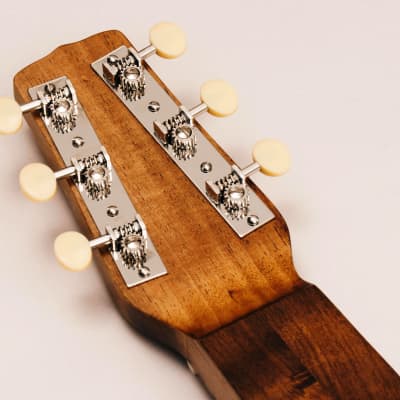 Weissenborn - Style 3 - Richard Wilson Guitars 2023 image 11