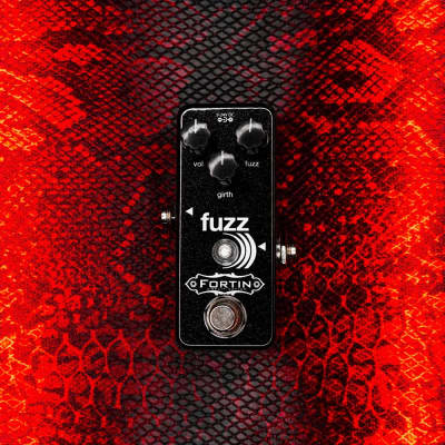 Fortin Amplification Fuzz | Reverb