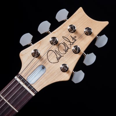 PRS Silver Sky Electric Guitar - Rosewood, Dodgem Blue SN 349081 image 4