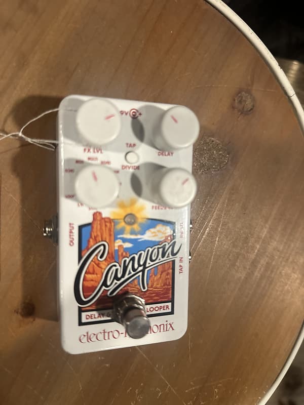 Electro-Harmonix canyon