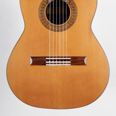 greco 401 ヘリテージ model フジゲン 1975 Greco “Heritage Model