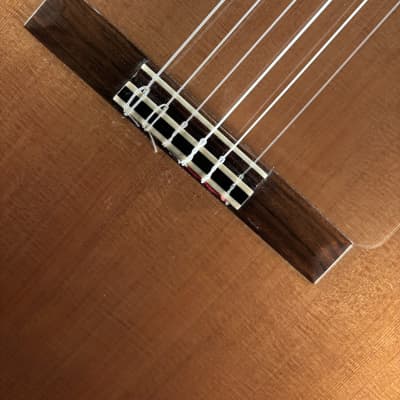 Marshall Brune Hybrid 14-Fret Cutaway Classical Guitar image 14