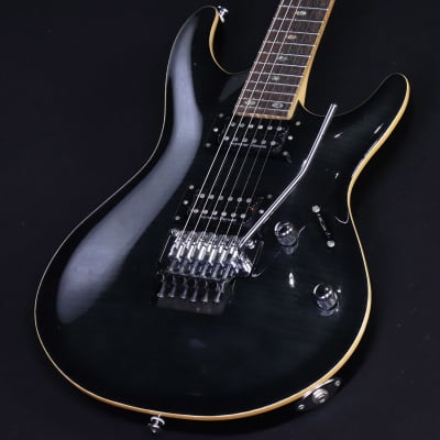 Fujigen Expert Elan EEL FM TR Trans Black Sunburst | Reverb