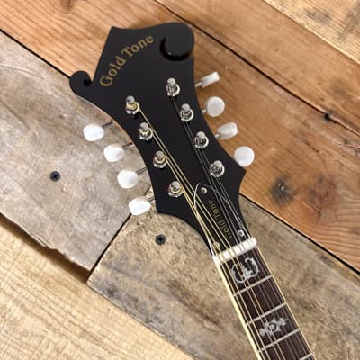 GM-35 F-Style Mandolin with Case image 5