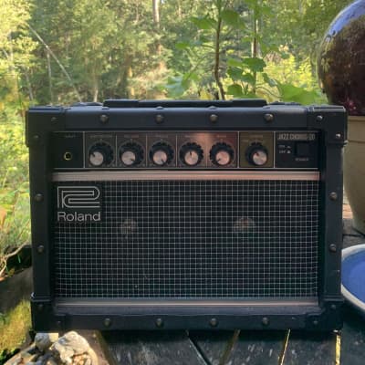 Roland JC 60 R&P SUPER RARE | Reverb