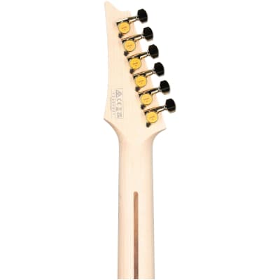 Ibanez JS-2 Joe Satriani Signature Electric Guitar (with Case), Gold image 8