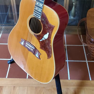 Gibson Dove 1976 - Natural for sale