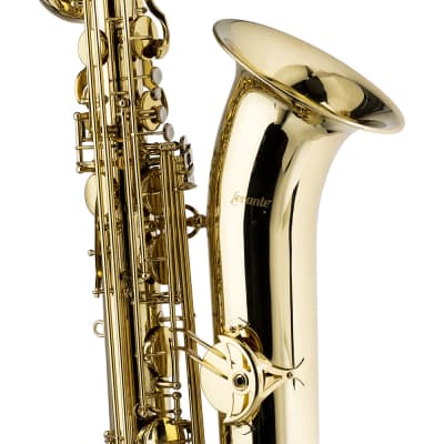 Stagg LV-BS4105 Key of Eb Baritone Saxophone w/Flight Case, Mouthpiece, Reed, Ligature, Cap, & Swab image 4