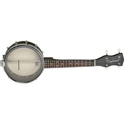 Tanglewood TWB U Union Banjo for sale