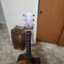 Taylor 314ce with ES2 Electronics 2014 - 2018 - Natural