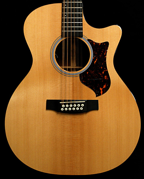 New Martin Performing Artist GPC12PA4 12 String Acoustic Electric Guitar w OHSC