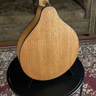 Eastman PCH-M104 Classic - Mandoline incl. Gigbag - NEW image 8