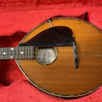 GIBSON ALRITE MANDOLIN MADE IN USA 1917 STYLE D NO.435  IN EXCELLENT CONDITION WITH ORIGINAL HARD CASE AND KEY. image 3