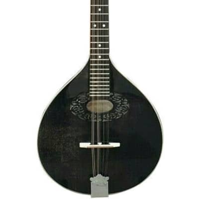 HORA M1087 octave mandolin with EQ, short scale irish bouzouki, solid wood,  NEW, antique black | Reverb Canada