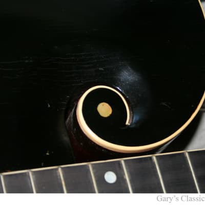 1917 Gibson Style U Harp Guitar (#GIA0086) image 6