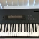 Korg M1 61-Key Synth Music Workstation w/ rare "Synth 1" card, EX sounds